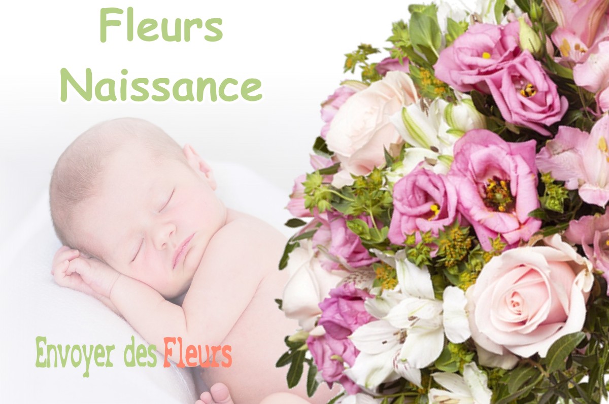 lIVRAISON FLEURS NAISSANCE à SAINT-SORLIN-DE-MORESTEL